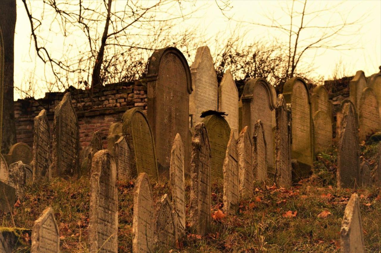 Penzion David Třešť Eksteriør bilde